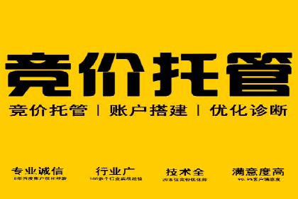 科技公司如何利用SEM服务提升产品曝光度